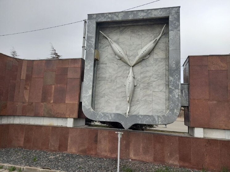Половина саратовцев против трудоустройства на госслужбу релокантов
