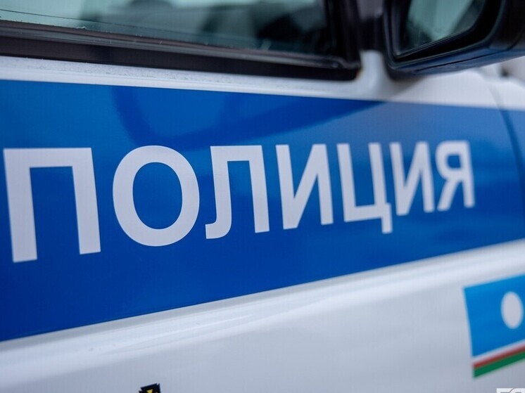Полицейские в Якутии раскрыли серию краж из частных домов
