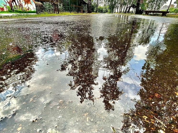Конец августа в Омске будет дождливым