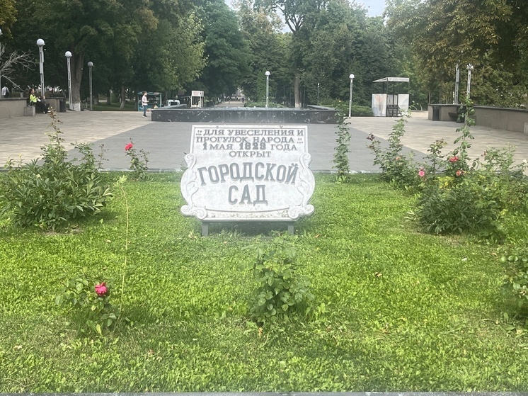 Прокуратура Советского района Орла рассказала об итогах проверки по факту гибели деревьев в Городском парке культуры и отдыха