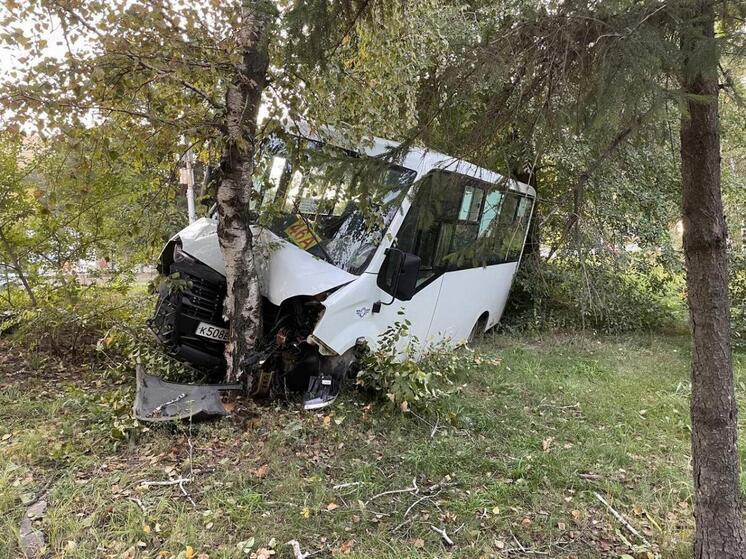 В Саратове автобус врезался в дерево: судят мастера участка
