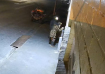 Полиция полагает, что новозеландский беглец и один из его детей были замечены камерами видеонаблюдения после четырех лет пребывания в бегах