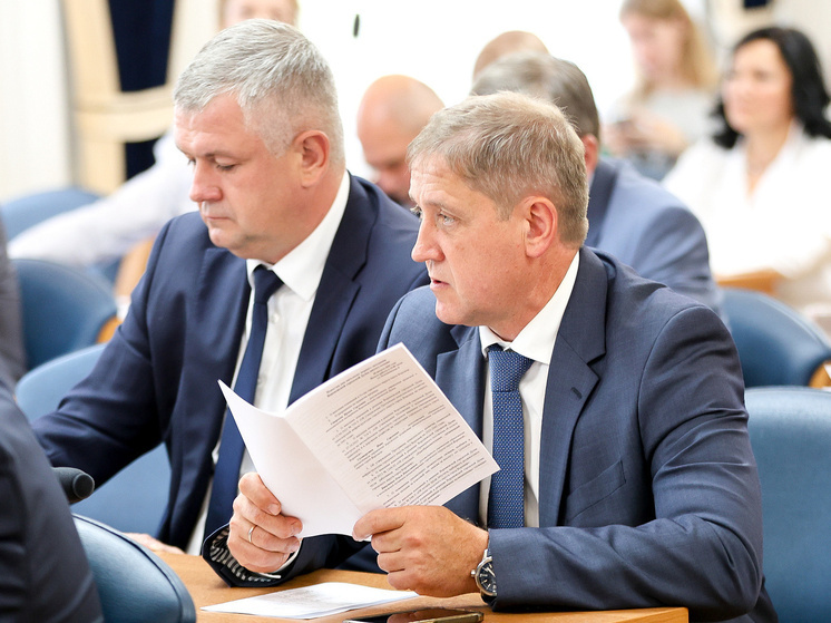 Дума Воронежа увеличила бюджет города на трехлетку