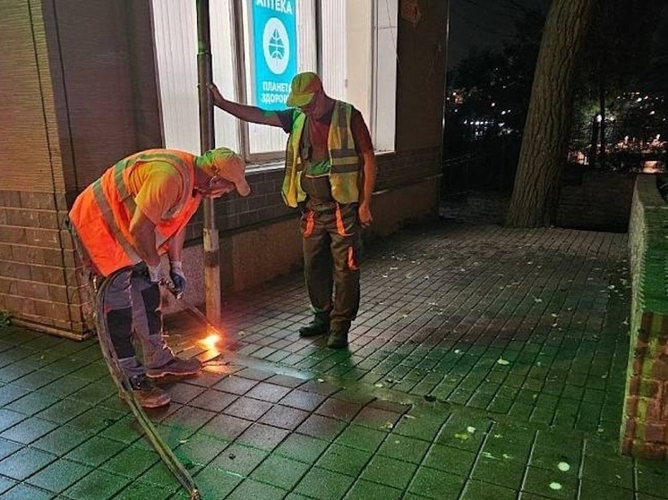 Во Владивостоке за август демонтировали более 40 незаконных рекламных конструкций