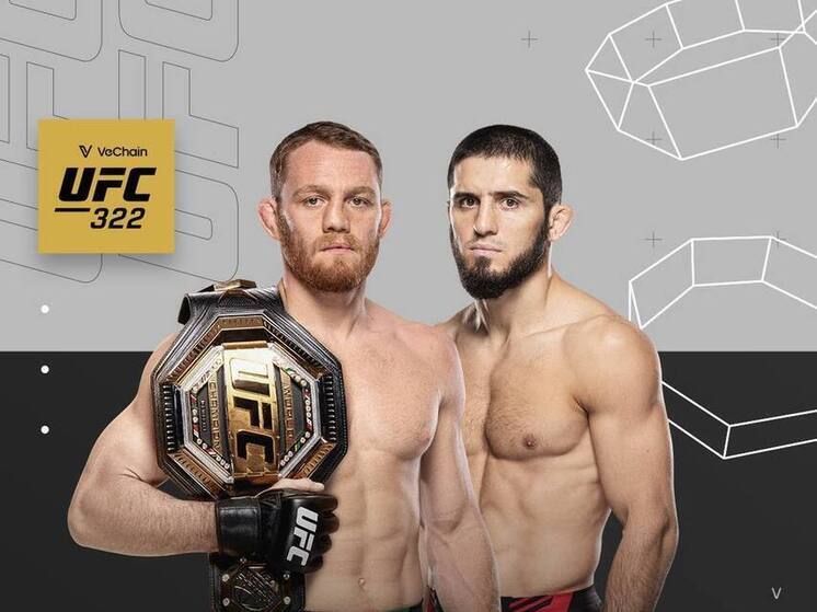 В UFC опубликовали официальный постер. 