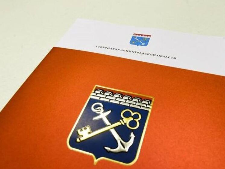 Именные губернаторские стипендии получат 28 одаренных студентов-сирот