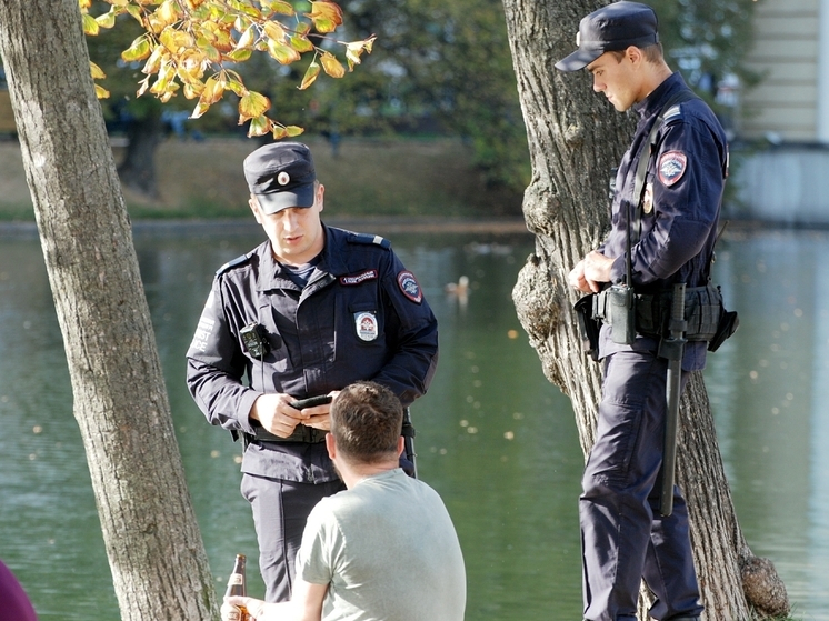 Допсилы вызваны в Новую Москву для поиска пропавшего в лесу пенсионера