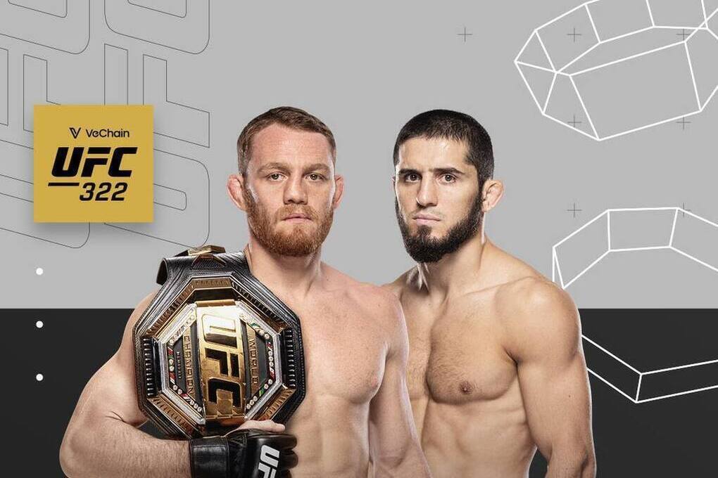 В UFC опубликовали официальный постер