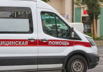 В России, как сообщает Роспотребнадзор, выявлен первый завозной случай лихорадки чикунгунья. Пациент госпитализирован в состоянии средней степени тяжести.