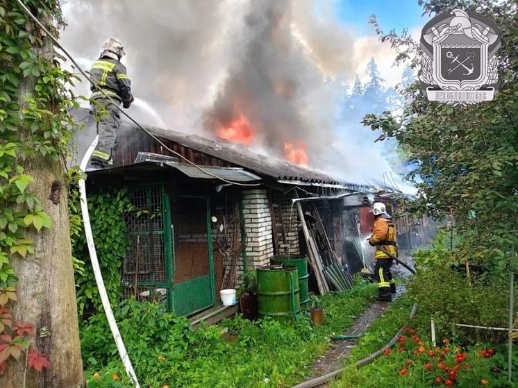На пожаре в Луге погибли три братца-кролика