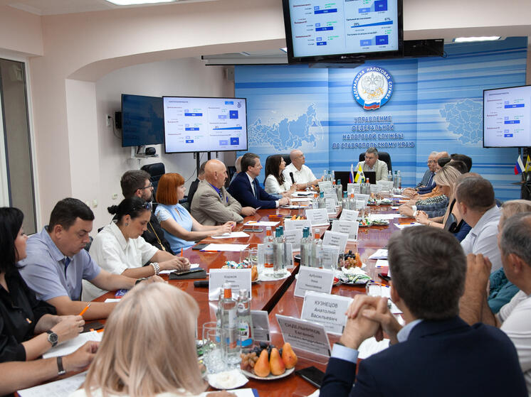 Банкротство, дробление бизнеса и взаимодействие с вузами:  итоги заседания Общественного совета ставропольского управления ФНС