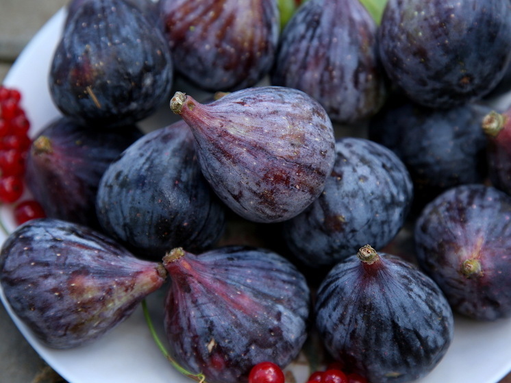 Диетолог Писарева: инжир богат витаминами, микроэлементами и клетчаткой