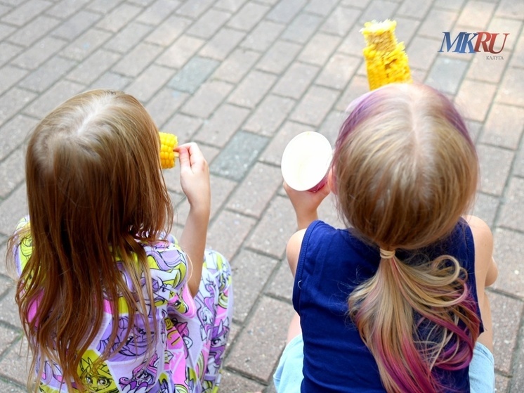 Калужским многодетным семьям предложили электронные удостоверения