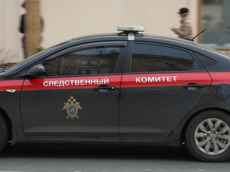 Столичные следователи разоблачили жителя Москвы, в течение полугода растлевавшего свою 4-летнюю дочь