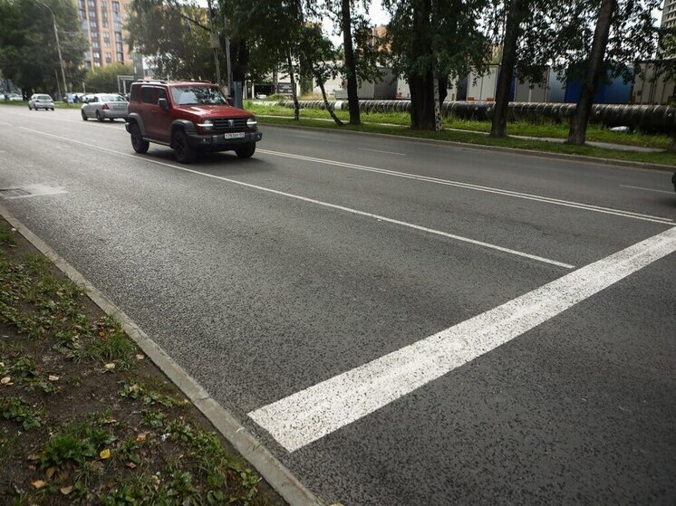 В Новосибирске в 2025 году нанесут рекордный объём дорожной разметки