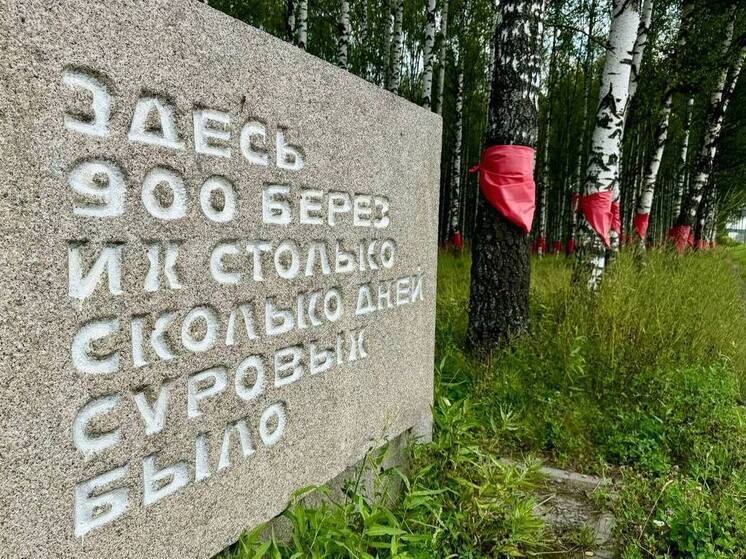 Ленинградцы обновят березовую рощу на «Дороге жизни» 8 сентября