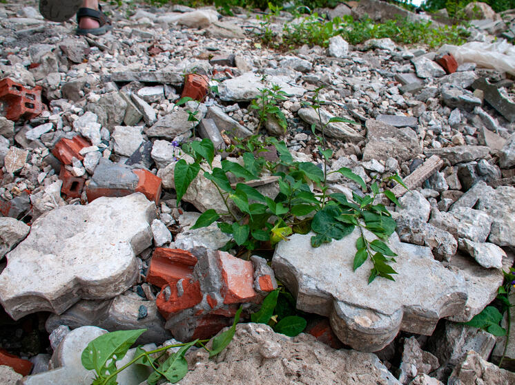 На Новорижском шоссе орудуют метатели камней: ущерб фурам — 3 миллиона рублей