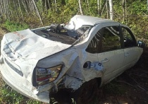 28 августа на 76-м автодороги Курган – Звериноголовское (Притобольный район) произошла авария, в которой пострадал местный житель