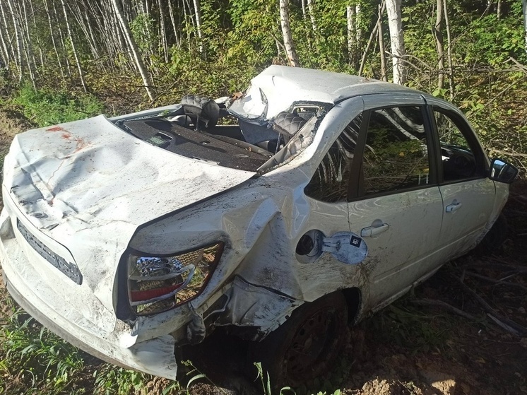 Лишенный прав курганец влетел в дерево и сбежал с места ДТП