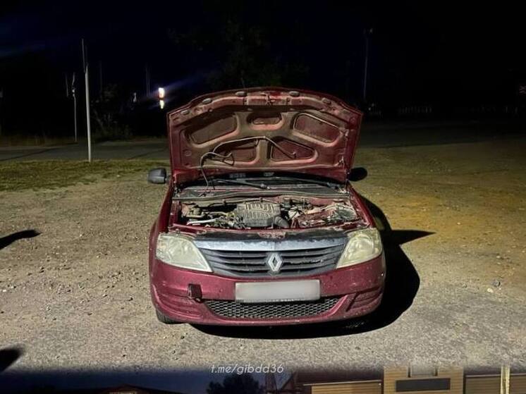 Воронежские автоинспекторы выручили иногороднюю семью с детьми