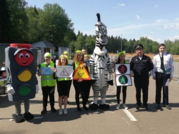 На переходы в Обнинске выйдут инспектора и Марти