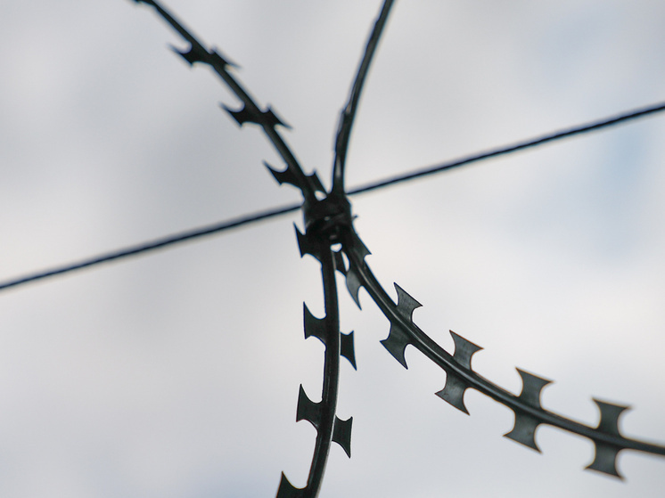 Мать маньяка Пичушкина отправила жалобу в суд