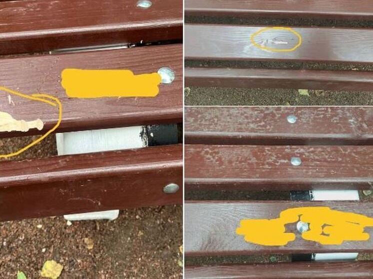 Новые скамейки парка в Отрадном неизвестные расписали «околонацистскими шутками»