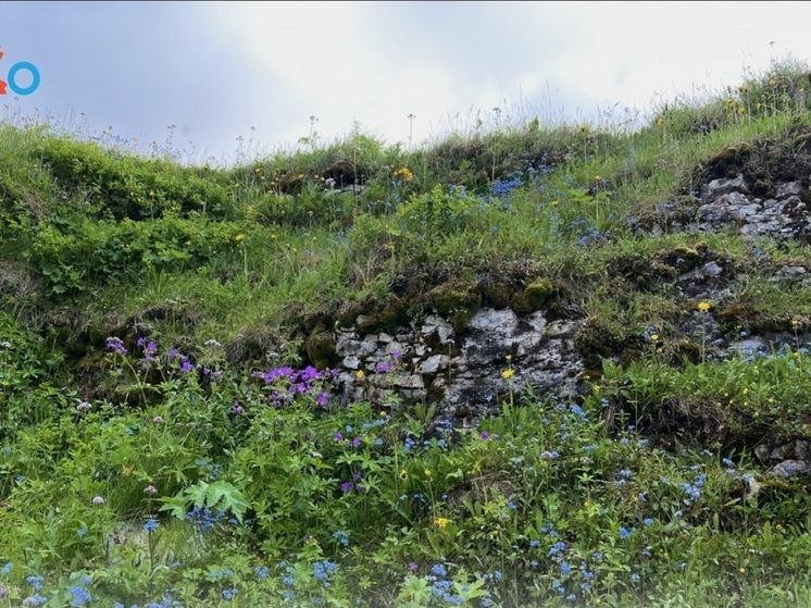 Предметы древней эпохи обнаружили в НАО