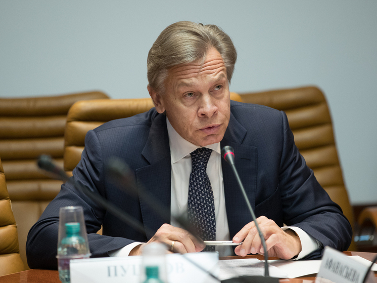 Пушков: неоколониальные войны НАТО породили преступность мигрантов в Британии