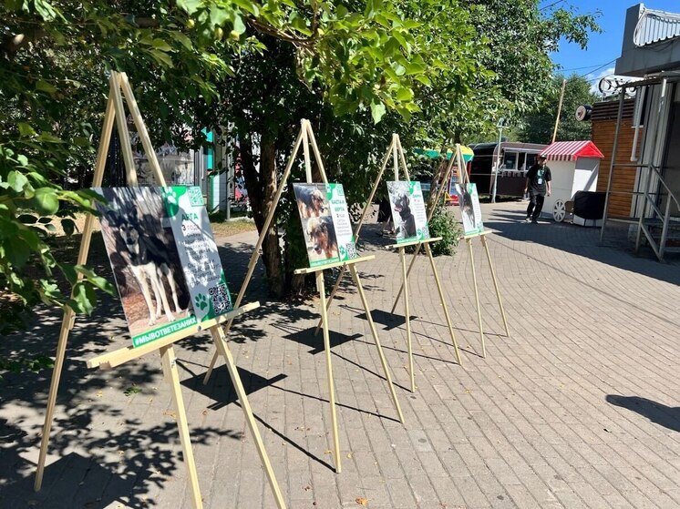 В парке «Юбилейный» в Улан-Удэ пройдет благотворительная ярмарка животных
