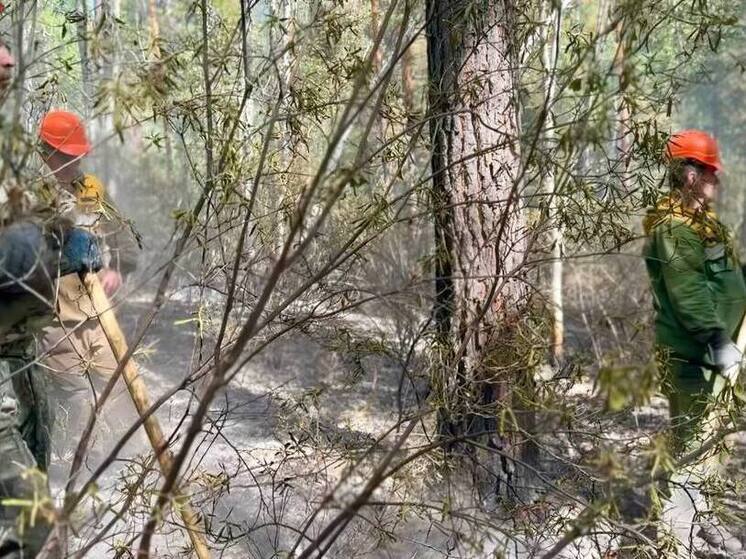 В Бурятии продолжают бороться с двумя лесными пожарами
