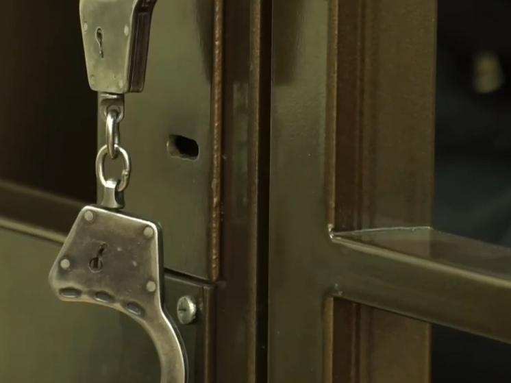 В Смоленске будут судить курьера телефонных мошенников, укравших 9 млн рублей