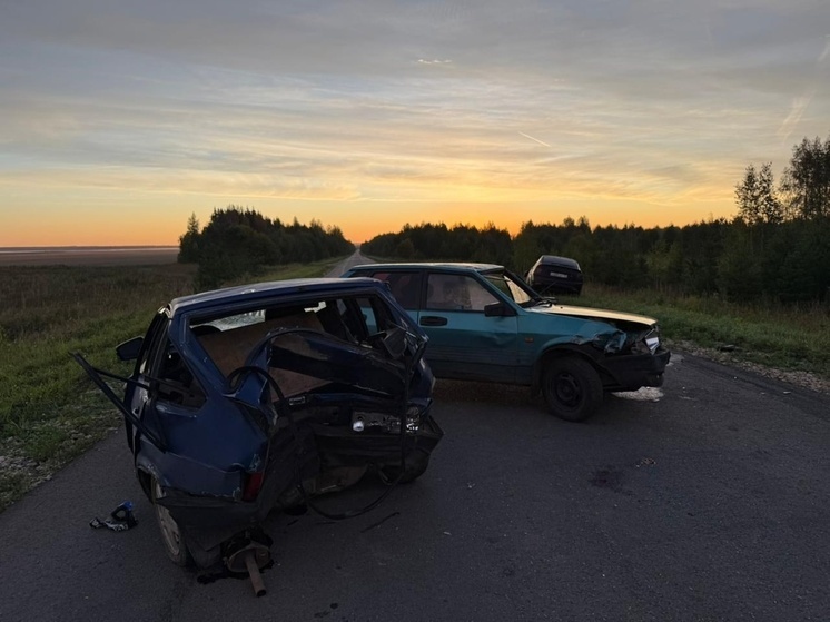 Ночью с 29 на 30 августа на дороге в Сернурском районе погибла девушка