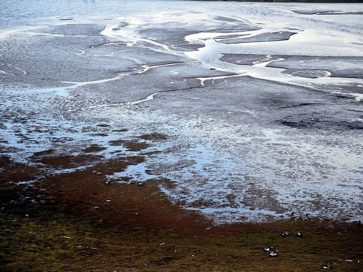 Найден источник ртути, которая копится в Арктике