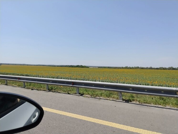 В Белгородской области временно перекрыли трассу «Борисовка-Грайворон»
