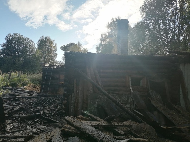 В селе Ёна пожарные около 4 часов тушили деревянные дома