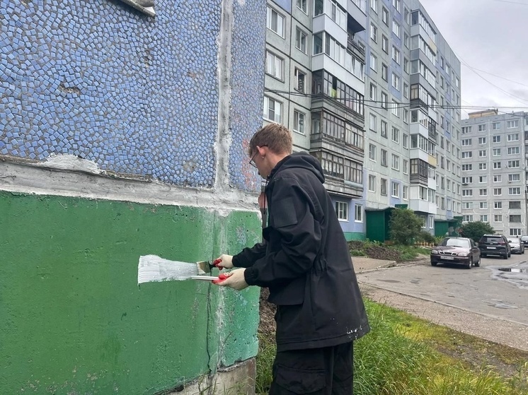 В Архангельске молодежь участвует в акции «Чистые стены»