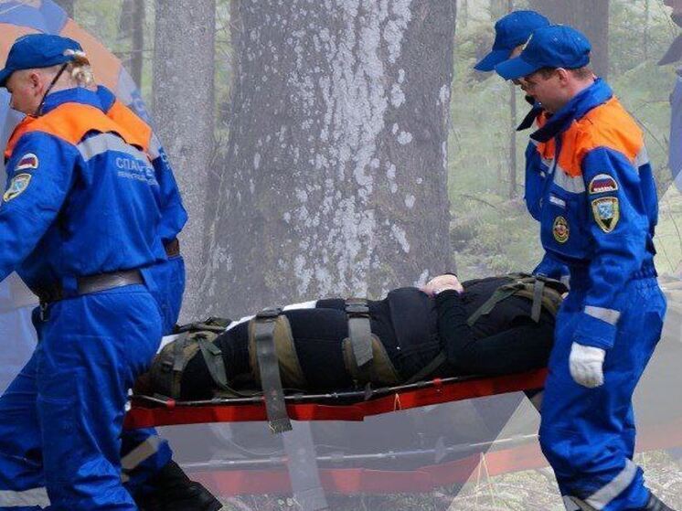 Пожилой мужчина заблудился и почти сутки провел в лесу в Кировском районе