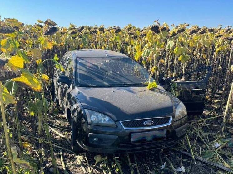 Трагедия на дороге «Воронеж–Курск» забрала жизни двух пенсионеров