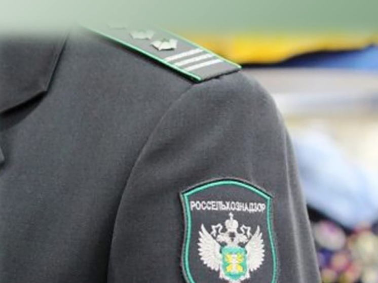 В карбонаде калининградского изготовителя нашли целлюлозу и соевый белок