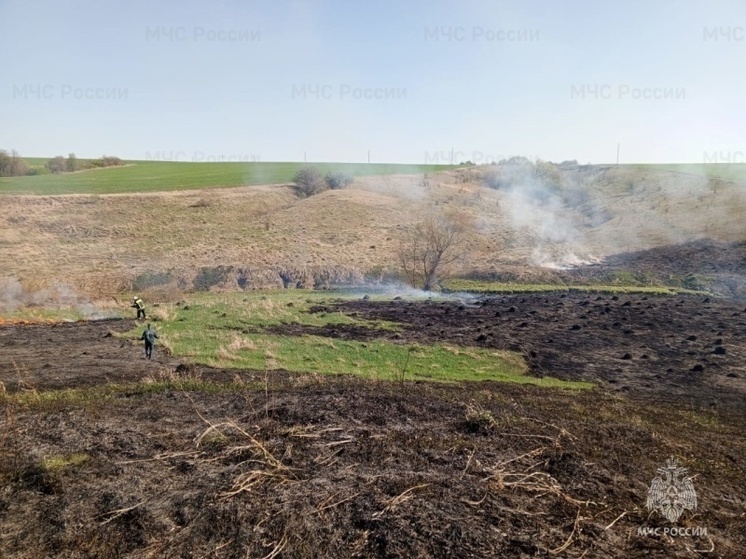 В ДНР за сутки произошло почти 40 пожаров в экосистеме
