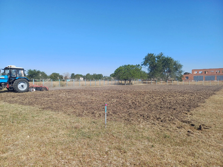 В Труновском округе появятся два школьных сада