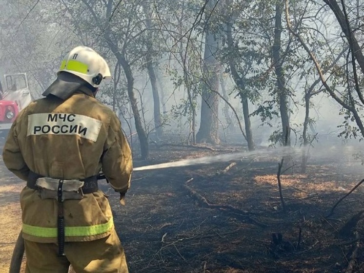 В Калмыкии на площади более тысячи квадратных метров горел сухостой