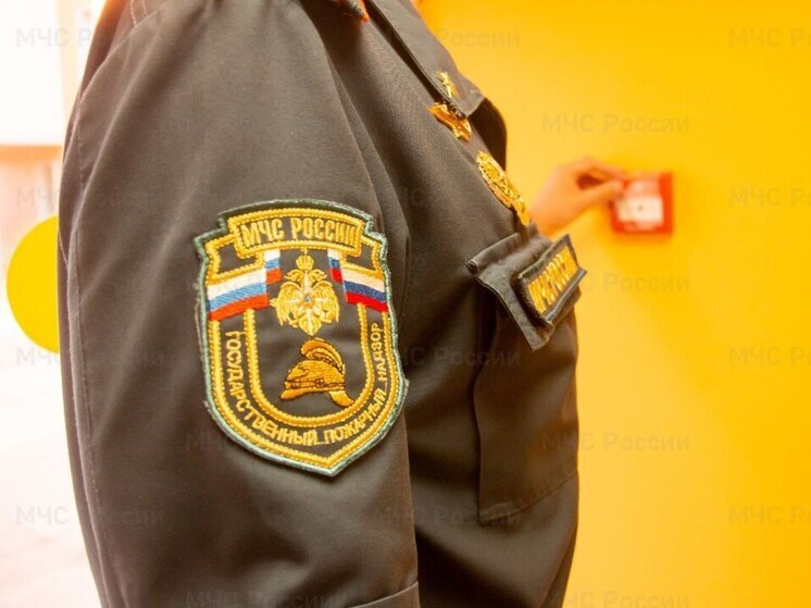 МЧС Петербурга за год провели 1545 профилактических визитов в учебные заведения