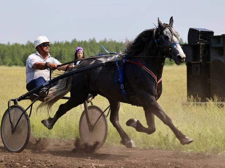 Competições equestres para o Prêmio do Governador serão realizadas em Troitsk