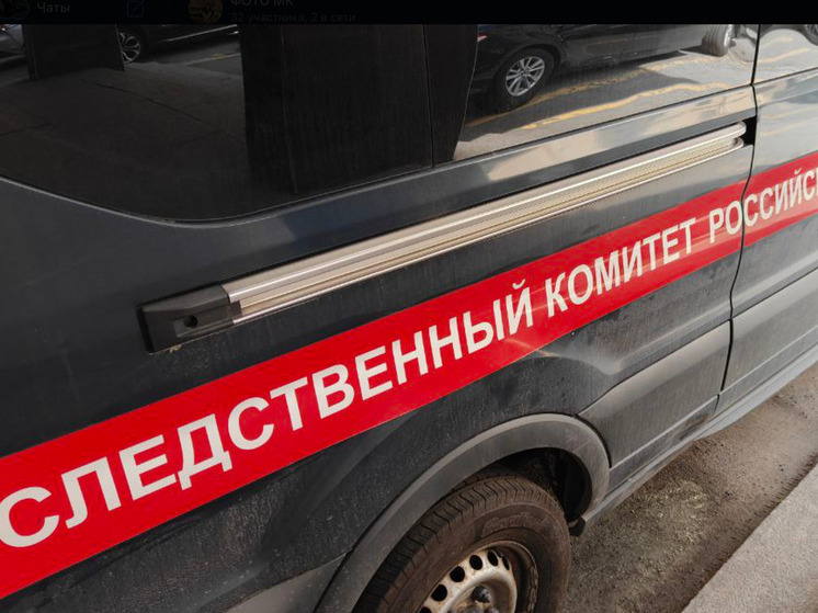 Бастрыкин взял под контроль дело о сбитом мусоровозом мальчике в Мурманске