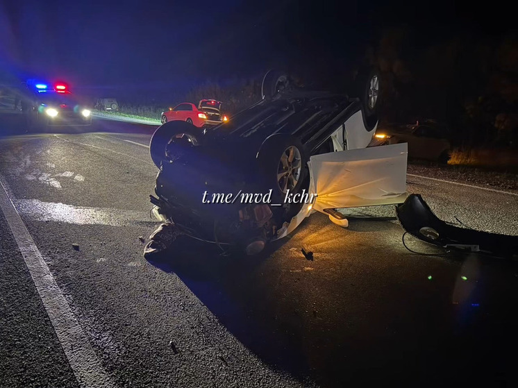 Встреча с коровой в КЧР обернулась для жителя Московской области травмами и госпитализацией