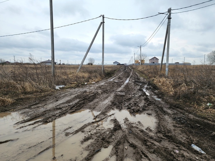 В Липицах улучшат дорожное сообщение к участкам многодетных