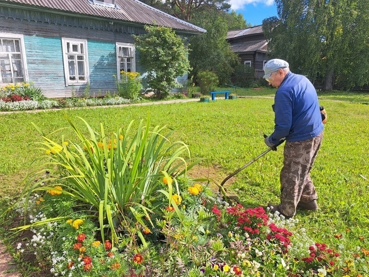 Жители деревни Курцево ходят в библиотеку не только читать, но и помогать