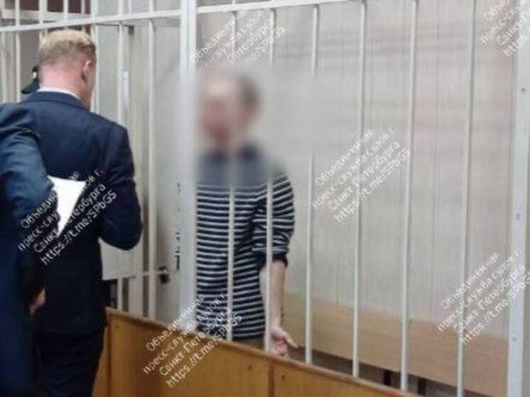 Призывающего к суициду «писаку» арестовал суд Петербурга